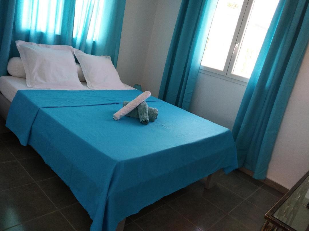 Villa Palm Paradise